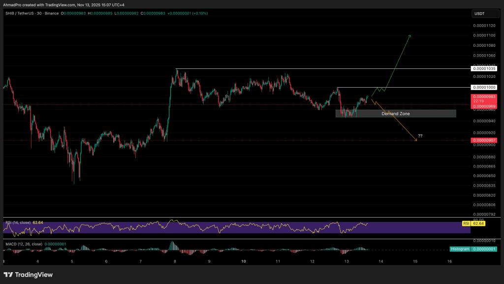 シバコイン 今後：重要なサポート帯で下げ止まりの兆しも