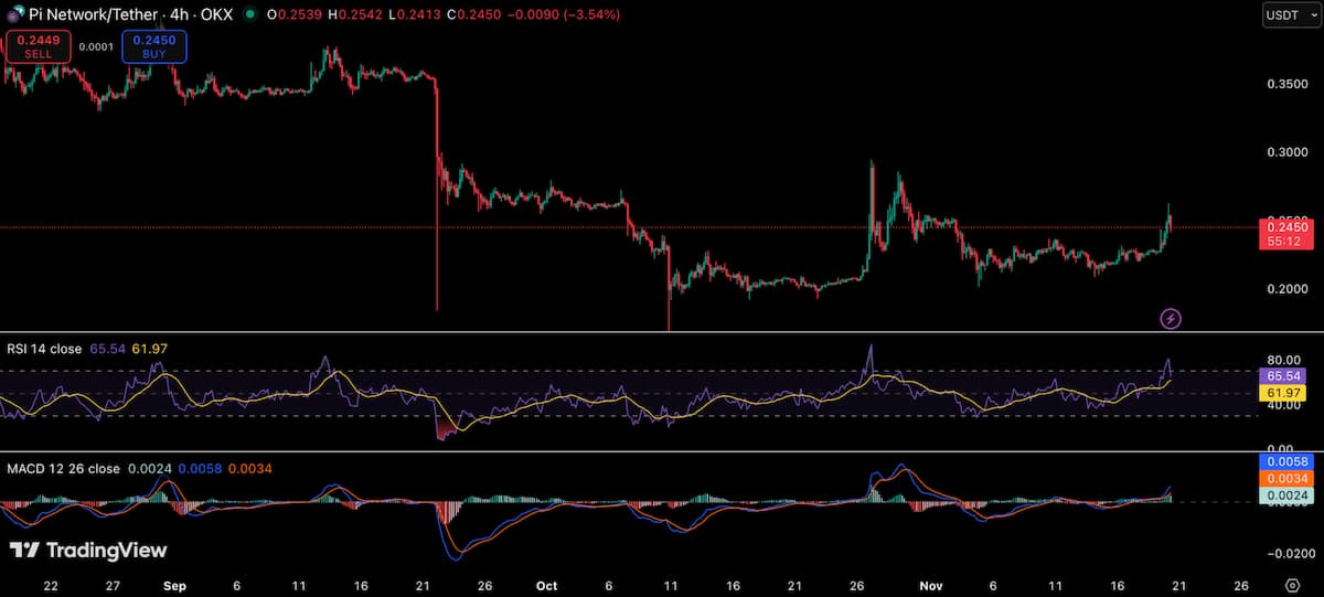 パイネットワーク 価格と市場見通し