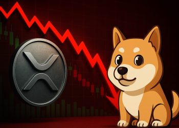 リップル 今後：急激な売り圧力で崩壊寸前に – ベアマーケット入りは確定なのか