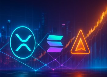 今買うべき 仮想通貨 おすすめ（11月20日時点）