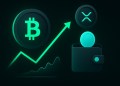 ビットコインとXRPが反発