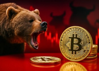 Bitcoin medvedí trh november 2025