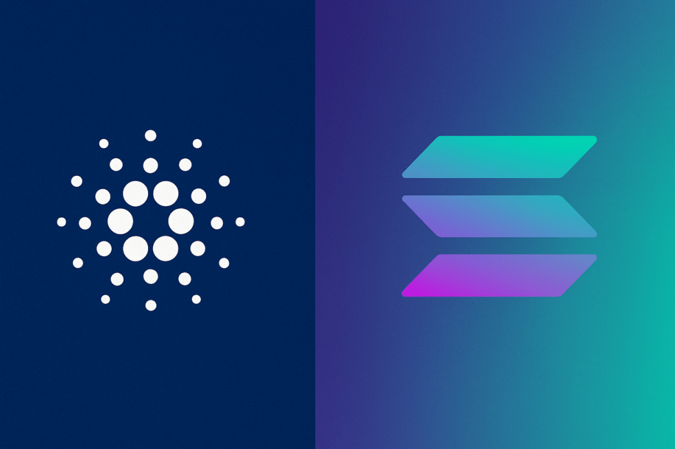 Cardano news Solana Toly