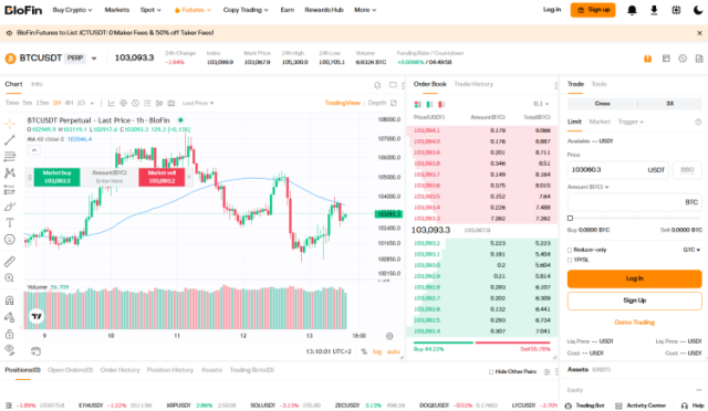 Futures trading dashboard on the BloFin website