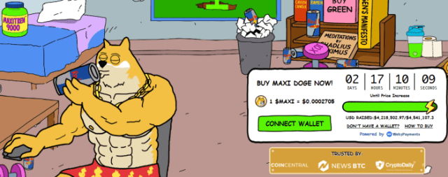 $MAXI’s presale numbers.