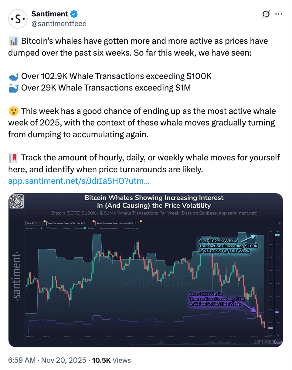 Der X-Beitrag von Santiment zeigt den möglichen Höhepunkt der Walaktivität in dieser Woche.