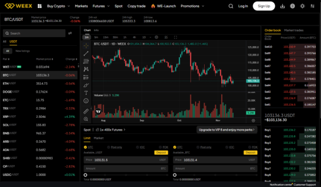 Spot trading dashboard on the Weex website