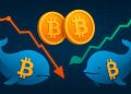 Old Bitcoin Whales Exit, New Whales Enter — The Market’s Natural Rotation in Action