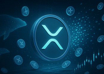 XRP Enters New Phase as Whale Accumulation Gives Way to Retail Volatility – Analyst