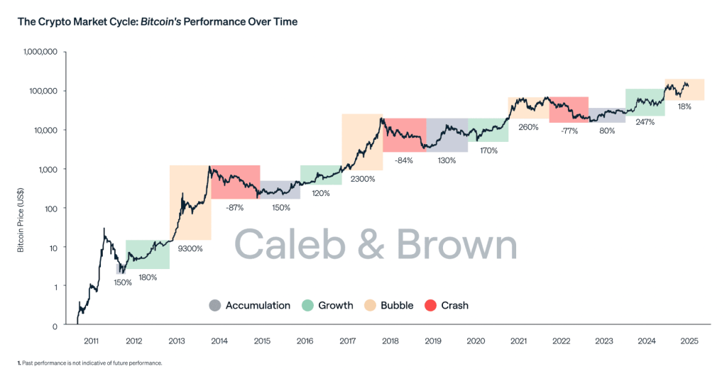 Vývoj bitcoinu - cykly