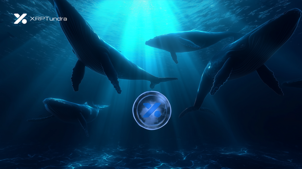 XRP Tundra Presale Attracts High-Value Holders From Hedera and Hyperliquid Ecosystems