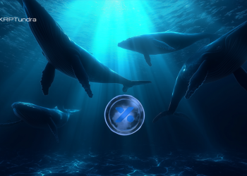 XRP Tundra Presale Attracts High-Value Holders From Hedera and Hyperliquid Ecosystems