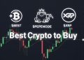 Best Crypto to Buy & HODL as $BTC Drops to 6-Month Low