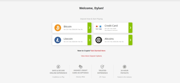 BetOnline Casino cashier screen displaying crypto and card payment options — deposit methods for Washington D.C. casinos online.