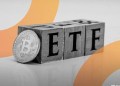 Bitcoin spot etfs