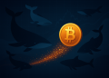 Bitcoin Whales