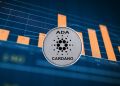 Cardano whales kopen 348M – ChatGPT voorspelt 5x ADA koers