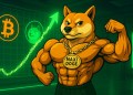 Dogecoin vs Bitcoin: A New Meme Coin Juggernaut Enters the Arena