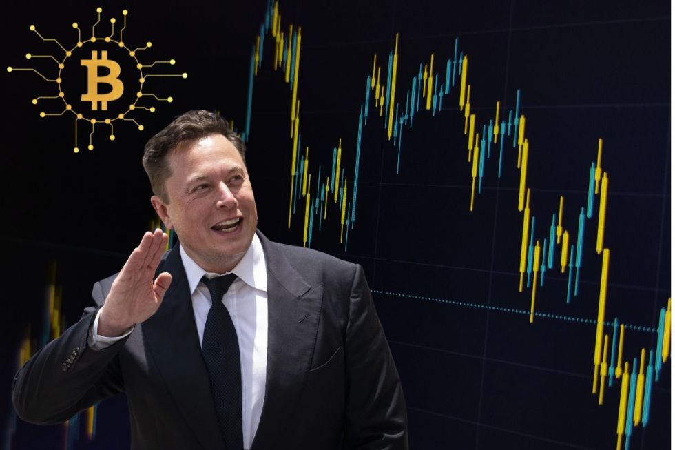 elon musk BTC price