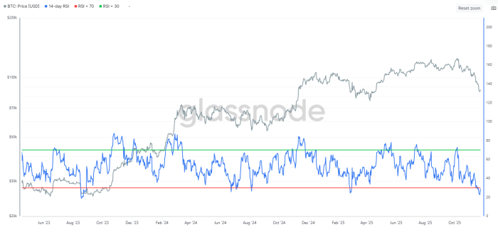Glassnode Bitcoin RSI since 2023.