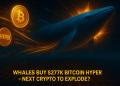 Whales Buy $277K Bitcoin Hyper in Two Days: Next Crypto to Explode?