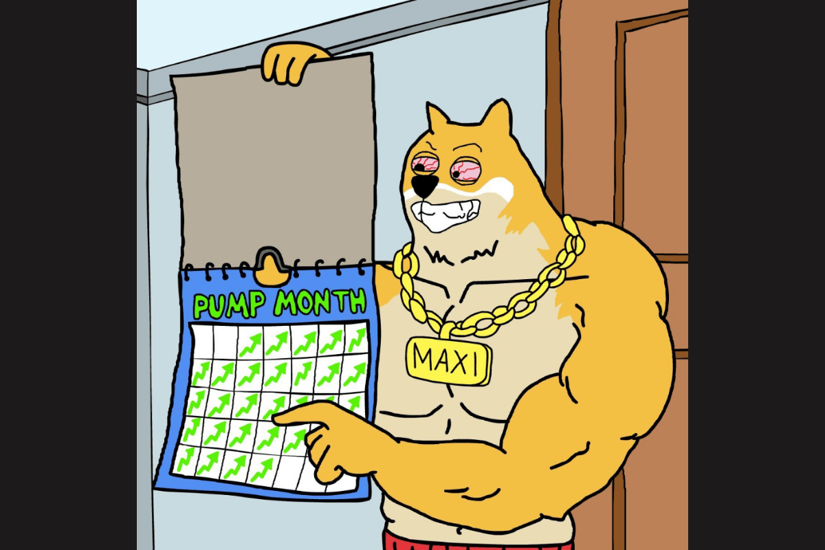 maxi doge presale main