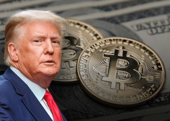 o τραμπ bitcoin market crypto