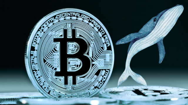 Prezzo di Bitcoin in Calo: “OG Whales” di BTC Vendono - BitCoinist | Related Crypto Article