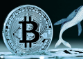 Prezzo di Bitcoin in Calo: “OG Whales” di BTC Vendono