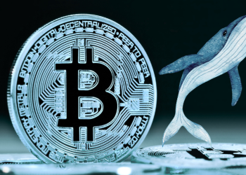 Prezzo di Bitcoin in Calo: “OG Whales” di BTC Vendono