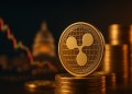 미국 셧다운 여파 속 XRP 5% 하락…리플의 40억 달러 확장 전략 ‘장기적 낙관론’ 유지