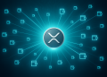 XRP: 21.595 nuovi wallet creati in 48 ore — il dato più alto da 8 mesi