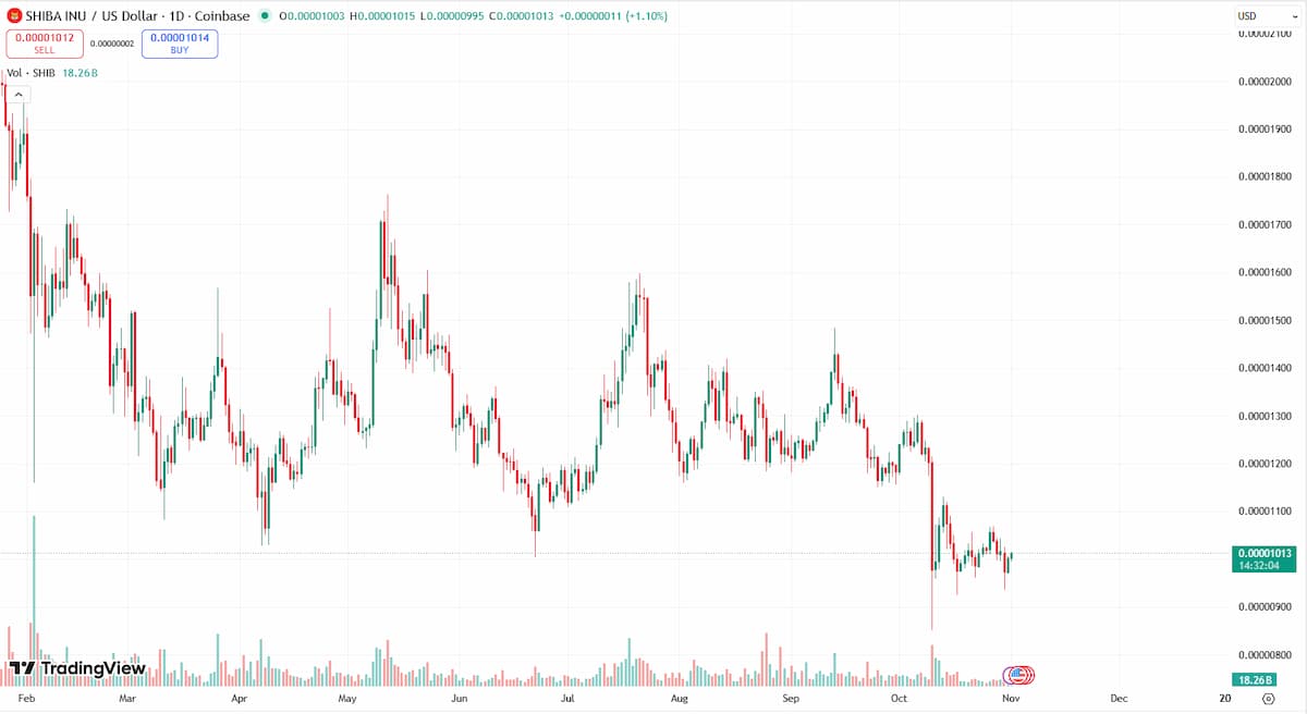 シバコイン 今後：2026年相場の焦点