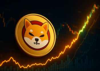 シバコイン 今後：ゼロが1つ追加、弱気相場の中で暴落開始か反発準備か