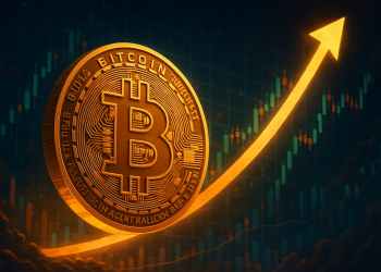 ビットコイン 今後：BTCが9万5000ドル割れ寸前、年末10万7000ドル回復は現実的か