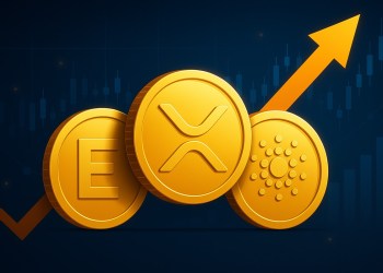 クリプトクジラが12月に向けて買っている3つのアルトコインとは？