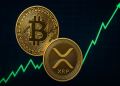 Ripple CEOは「Bitcoinは2026年までに2倍になる」と発言 – XRPはどこまで上がるのか