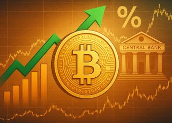 仮想通貨 おすすめ:金利引き下げと「ステルスQE」で価格が上昇へ