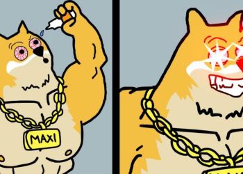 仮想通貨 おすすめ動向:小口トレーダーの関心を集める新興ミーム系銘柄