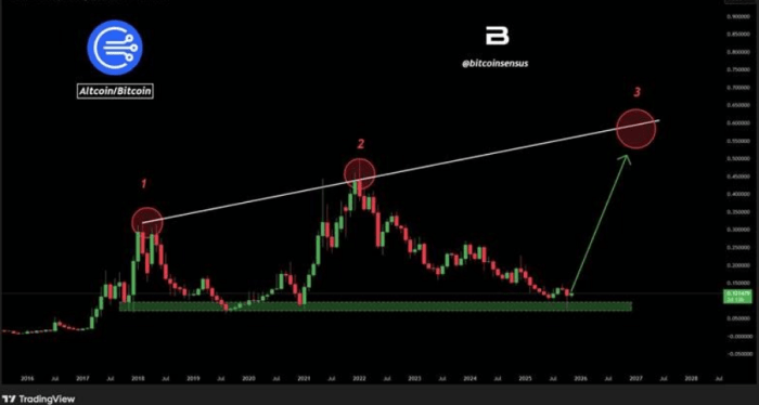 Bitcoin/altcoin chart on TradingView