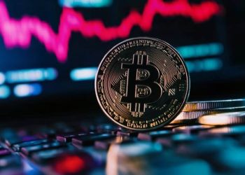 Các Đồng Coin Tiềm Năng Trong Giai Đoạn Presale