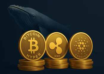 Čo Nakupujú Krypto „Veľryby“ pre Potenciálne Zisky v Decembri 2025