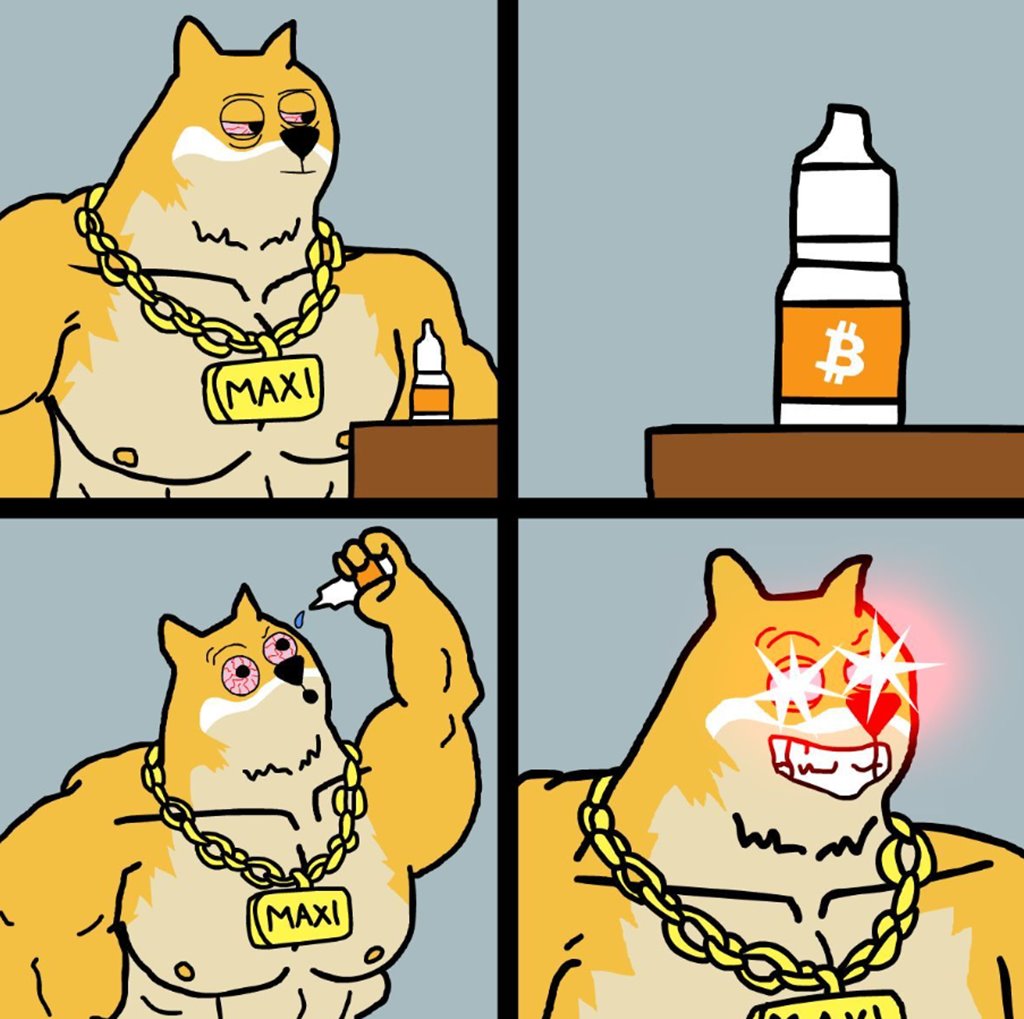 2026年に注目される次の大型新規暗号資産は？新しい仮想通貨としてプレセールで430万ドル（約6億7,000万円）を調達