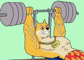 Meme Coin Tiềm Năng