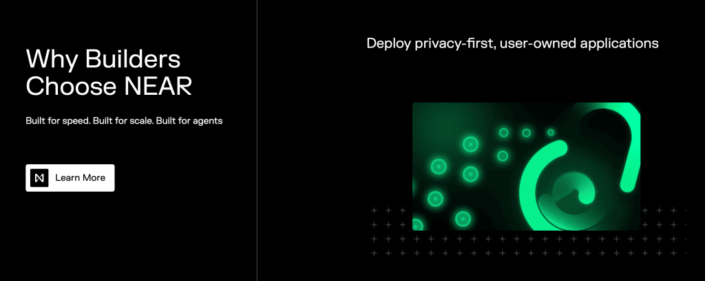 NEAR Protocol - proof of stake coins