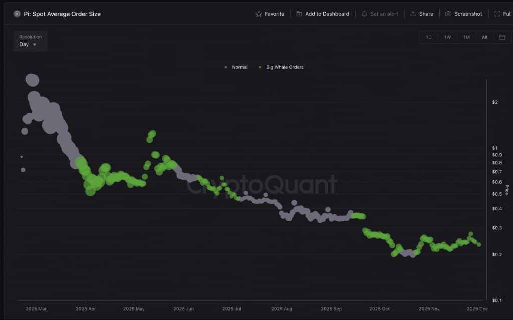 Phân Tích Giá PI PI Có Thể Tăng Đến Mức Nào