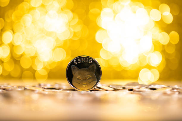 Shiba Inu Team Unveils Final Play For 2025 – Here’s What It Is