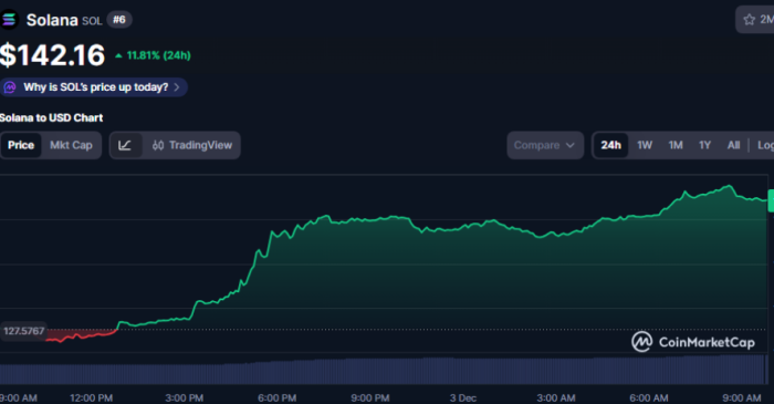 Solana price chart showing the last day performance