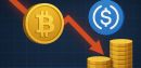 Crypto Hedge Funds Retreat To Stablecoins Ahead of Rate Cut – Data Warns of a Familiar Pattern