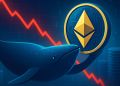 Major Ethereum Whale Returns: Buys $119M In ETH Amid Market Drop